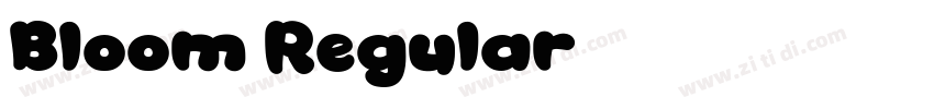Bloom Regular字体转换